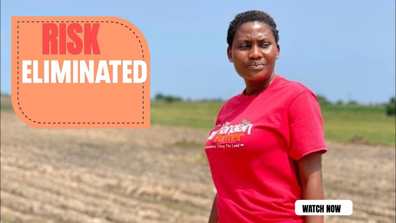 ‼️ Before You Venture Into Farming In Ghana 🇬🇭 Do These Things To CUT Down Risk |  ‼️