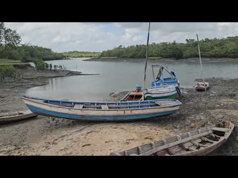 COMUNIDADE DE MIRINZAL-RESERVA EXTRATIVISTA DE CURURUPU-MARANHÃO.