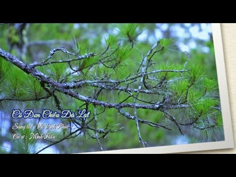 Cô đơn chiều Đà Lạt - Minh Hiếu