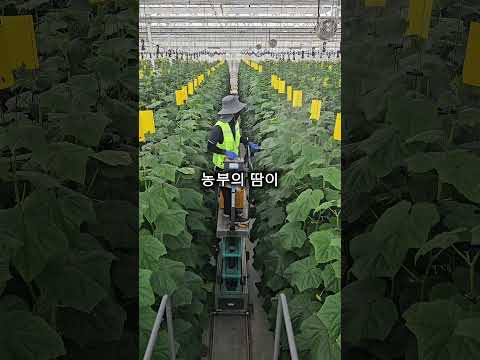 농업 혁신을 주도하는 상주(2025 SOS공모전-입선)