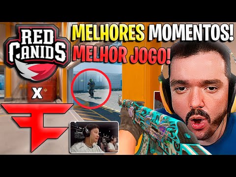 PERDEU TÁ FORA!!!🔥 RED CANIDS x FAZE (MELHORES MOMENTOS) StarLadder Budapest Major 2025 (GAULES)