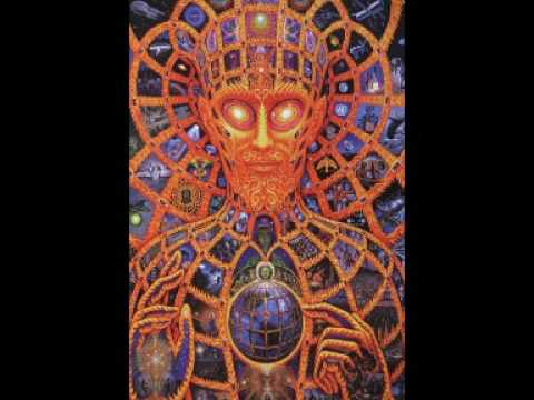 xatrix & slug - leopard crawl