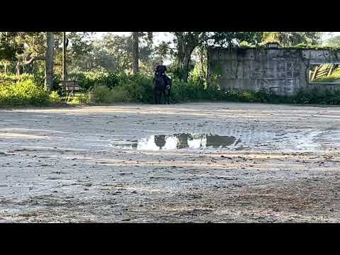 Bacardi October 4, 2025