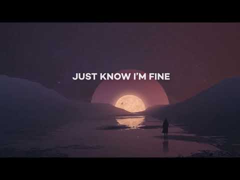 Syn Cole & ANML KNGDM - Let You Go (Lyric video)