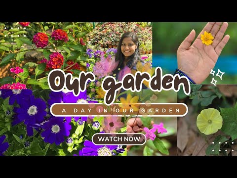 Flowers in our garden|🌼🌸🪹🪺