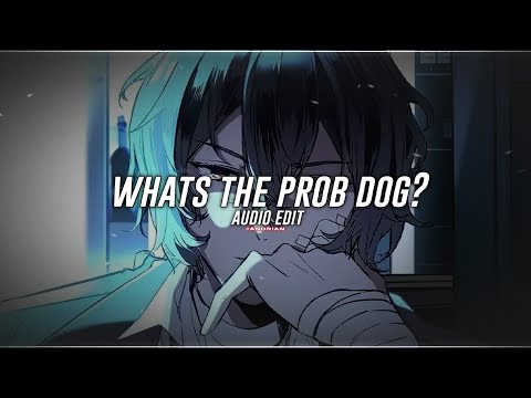 whats the prob dog ﹙wisekids﹚ // audio edit