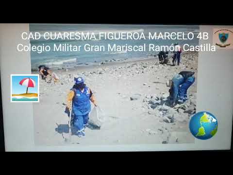 Limpieza de las playas🌊