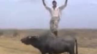 ahıskali gemç naxır oçerinde  :)