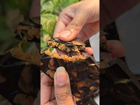 "This Chocolate is Taking Over Dubai… So I Made It at Home! 🇦🇪🍫🔥