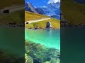 Iceland Whatsapp Status Iceland Shorts