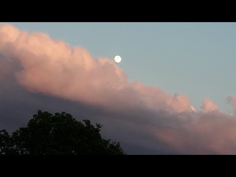 May and Robot Koch - Bad Kingdom (Subtítulos en español)