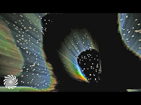 Wood Warden - The Endlist