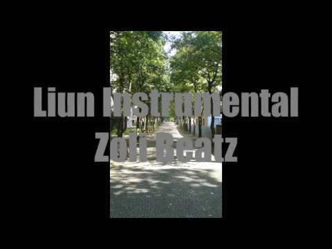 14. Liun Instrumental / Zoli Beatz - Munich´s BPM Shit (SOLD)