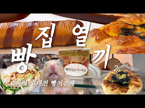 성심당 정동문화사 몽심 없숴여…. 대전민이 말아주는 찐 빵지순례 ! 맛도리 대전 빵집 대공개 [꾸꾸,목화제과,DDDN,포카치아도노,리틀딜라이트,크리베리…] 영상 썸네일