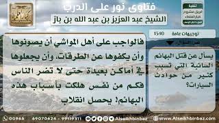 صورة 1340 - حكم قتل البهائم السائبة التي تسبب حوادث السيارات - نور على الدرب