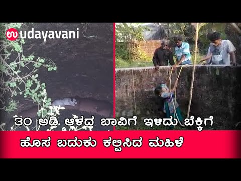 Mangalore: Woman rescues a cat from 30 feet deep well | Ranjini Shetty | Udayavani