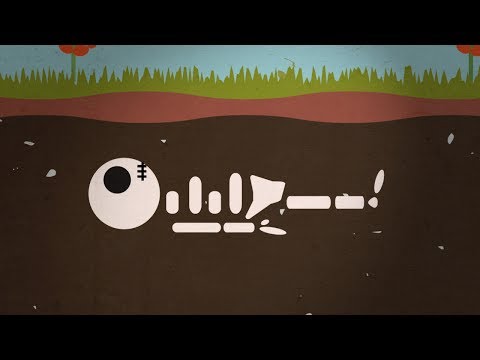 What Happens to Your Body after You Die? - Instant Egghead #65