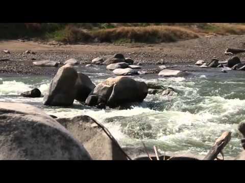 Green Kalahari Canoe Marathon Day2 2014