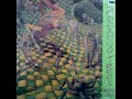 A6-Screaming Trees-Grey Diamond Desert