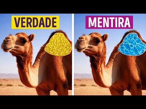 Mais de 50 fatos sobre animais que ninguém contou nas aulas de biologia