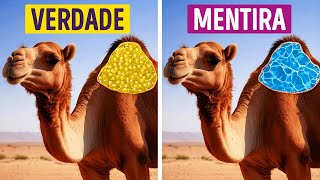 Mais de 50 fatos sobre animais que ninguém contou nas aulas de biologia