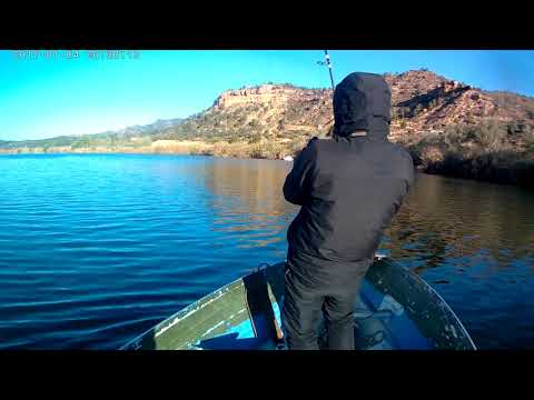 Ebro 2019 spining catfish,silure. Handmade lure.