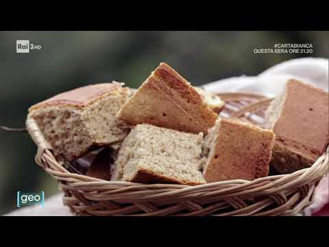 Sulla via del pane tra Garfagnana e Lunigiana - GEO 15-11-2022