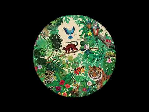 Cojoc - Trouble in the Jungle