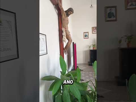 Basílica do Carmo.Recife.Brasil.#espanha #turismo #portugual #riodejaneiro #italia #ilhascanarias