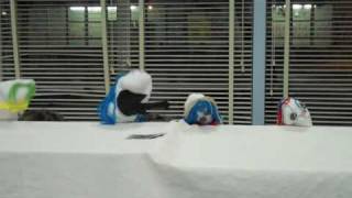 Scouts sing the classics