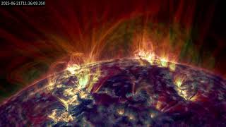 20250622 West Limb Prominence ( SDO )