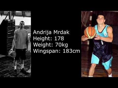 Andrija Mrdak 2016/17