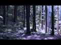 Riverside - The Time I was Daydreaming 