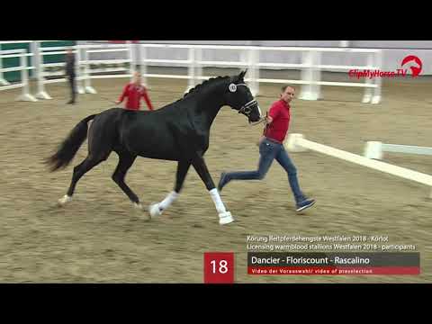 18 Hengst  v. Dancier - Floriscount - Rascalino