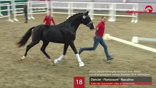 700.000 euros pour le Champion du Westphalien