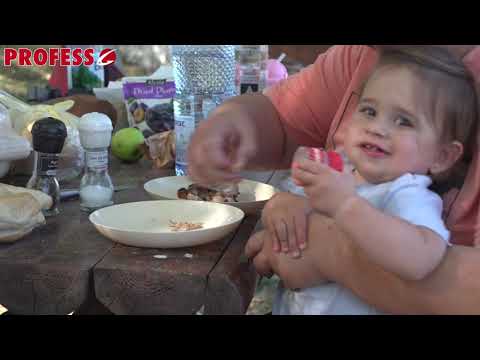 Partida 24 Ore cu Familia pe balta Nana x Pescuit la Feeder x Pescuit Crap x Pescarii Sinceri