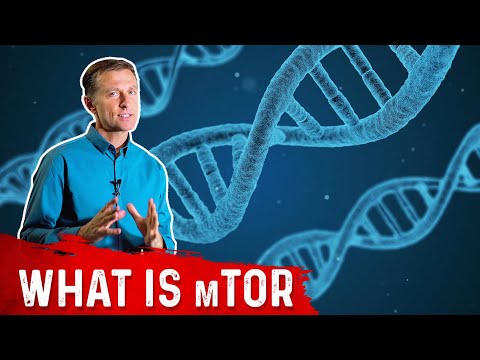 What is a Ketone Explained By Dr Berg