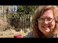 PLANTING ONION SETS Pre Feeding The SOIL LUNAR PLANTING Mimsy S Garden