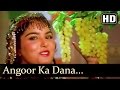 Sanam Bewafa Angoor Ka Dana Hoon Kavita Krishnamurthy