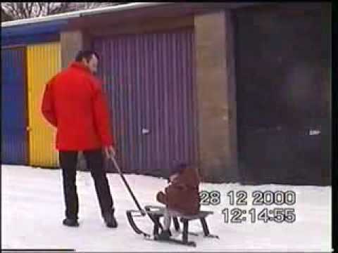 Soraya (1 yr) in the snow fals of the sledge.flv