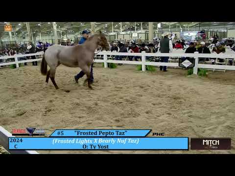 Triangle Horse