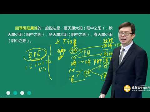 陰陽理論