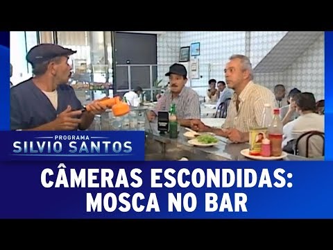 Fly in the Bar | Hidden Cameras (08/27/17)