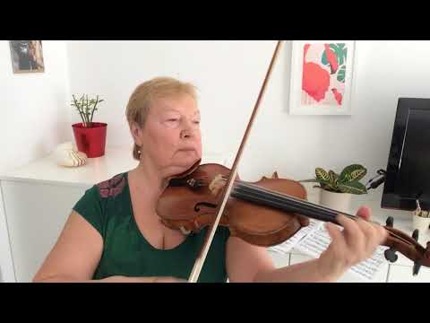 N. Minko - A. Vivaldi concerto amoll part I