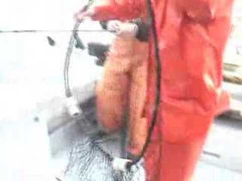 Sitka Fishing - Hank's 121 Lb. Halibut & Bud's Salmon