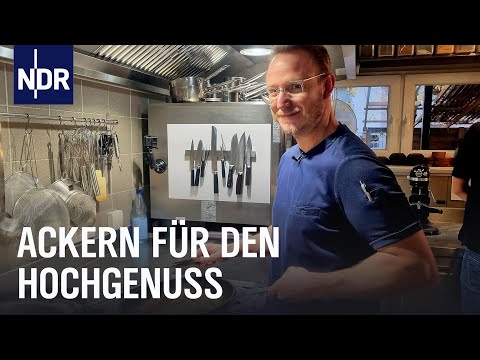 Regionales Gemüse, Biozucht und exklusives Geschirr für Sterneküchen | die nordstory | NDR Doku
