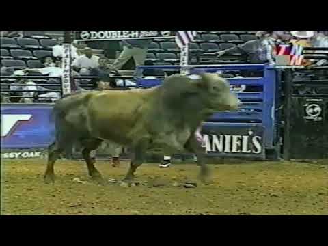 Hi Ho Brown bucks Andre Moraes - 01 PBR Baltimore