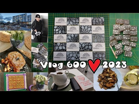 Vlog 600/23 - onko kontrola a PFka