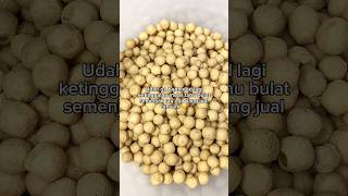 Tahu Bulat Mini Kering rasa Ayam Bawang Renyah 💯😋 #cemilan #snacks  #reviewmakanan #unboxingvideo