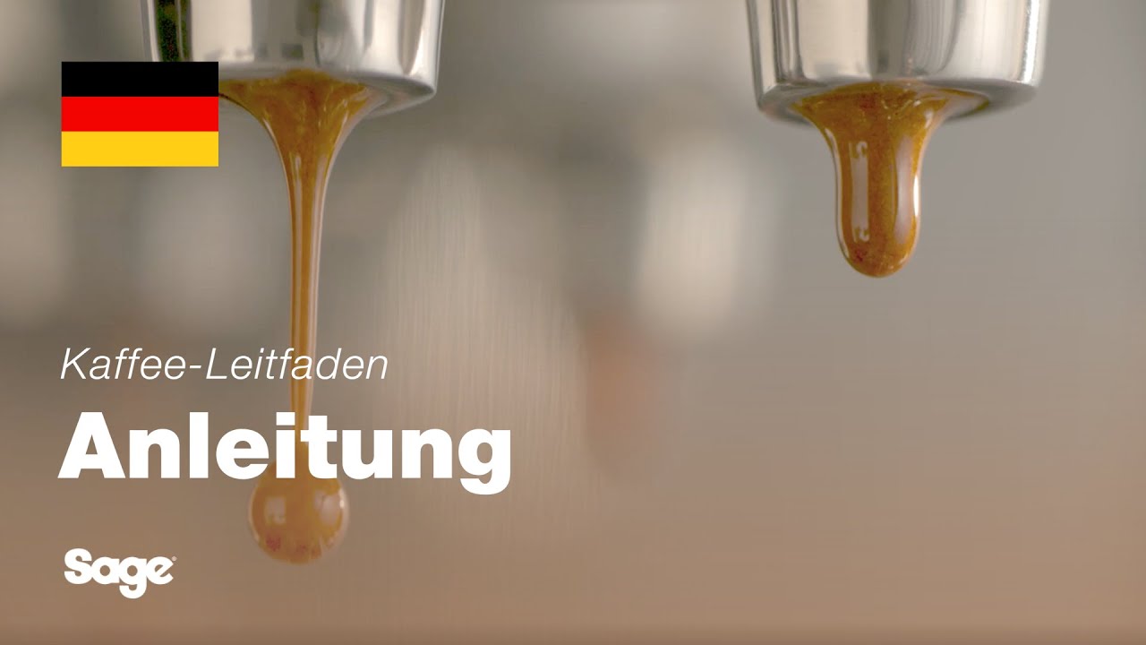 Ausgewogene Extraktion